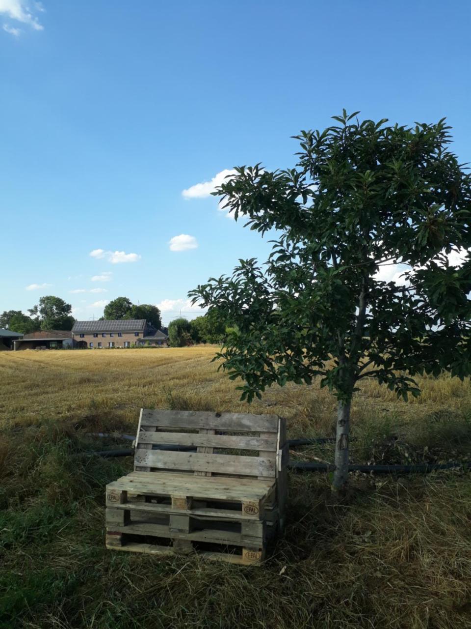 Bingers Kleine Scheune Willich Luaran gambar